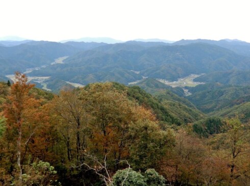 紅葉した木々の向こうに、上林の集落が見えます。