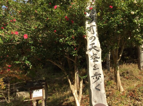 旧香美町と旧中町合併して多可町となって以降のキャッチフレーズ。ツバキもきれい!(^^)!