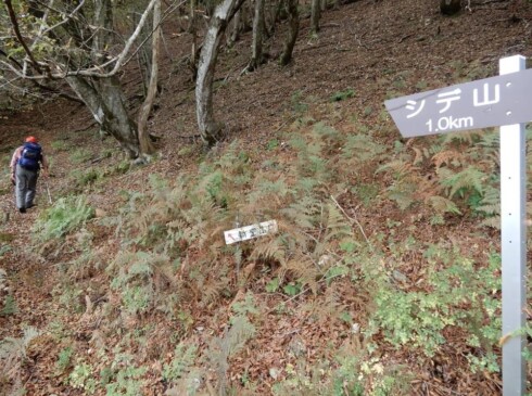 シデ山山頂まで、あと1㎞。山頂からの眺望を楽しみに登ります。