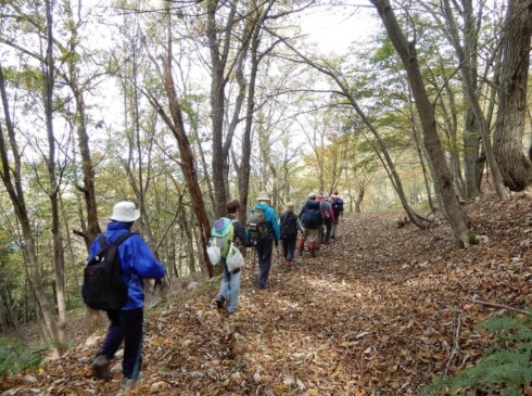 みなさん行儀よく一列に並んで下山。葉が落ちた木々の間から、日が差し込んで気持ちいい(*^^)v