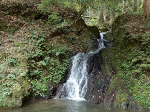 10分ほどあるくと、おりとの滝が見えてきます。