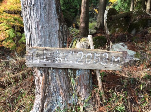 山頂まで、まだまだあるね。手作り感がいい(>_<)