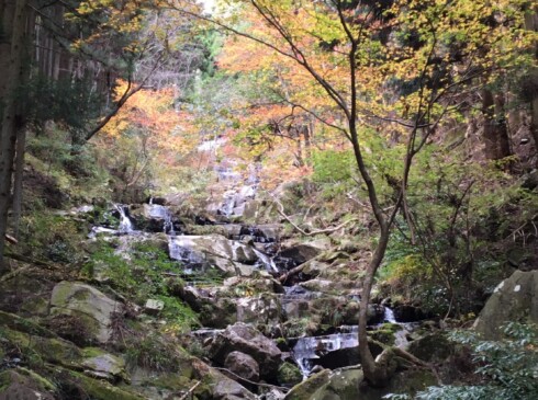 小さな滝を見ながら登ります。
