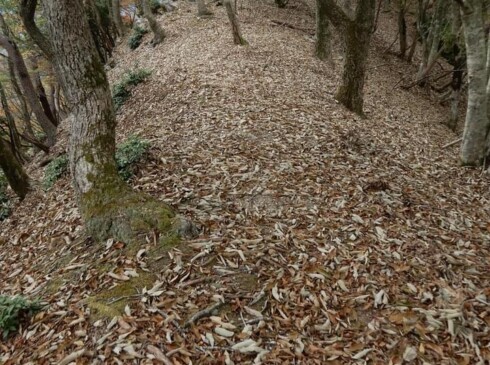 この尾根を登り切れば山頂です。あと少し・・・ファイト!!