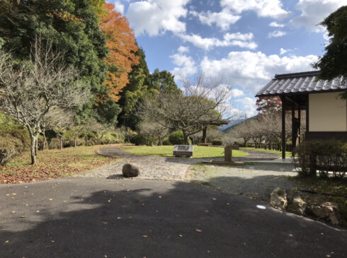 陣屋の南側には梅林が広がり憩いの広場になっています。