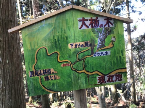 新しい看板が立っていました。大トチのそばに大カツラもあるらしい・・・期待が高まるーー