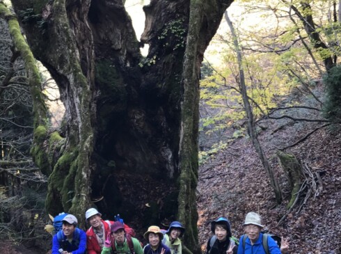 幻の大トチの木の前で記念撮影