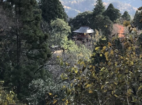 林道から見た二王門