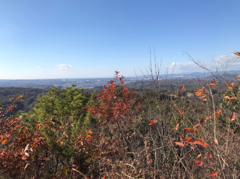 いったん下って、小さなピークを越えて、大きな岩を登りきると山頂です。だから大岩ヶ岳なんだと納得