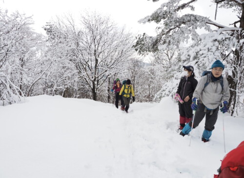 縦走路まで来ると枝にも雪が。