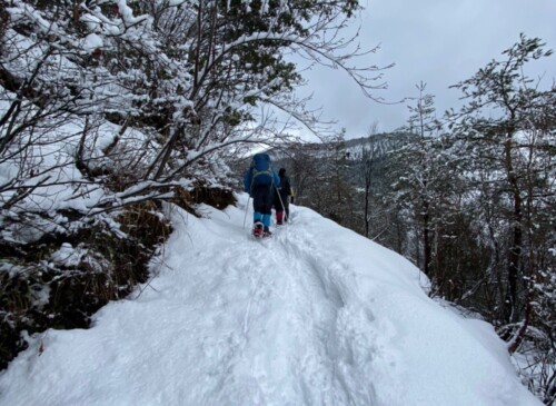 登山口からボチボチと