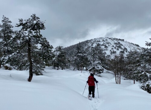 鍋塚下。雪の下は落とし穴状態。