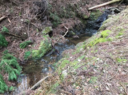 胡麻峠への道はほぼ沢沿いの道です