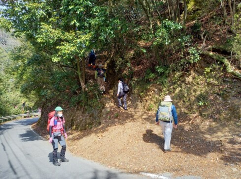 ツツジ尾根登山口いきなり急登です