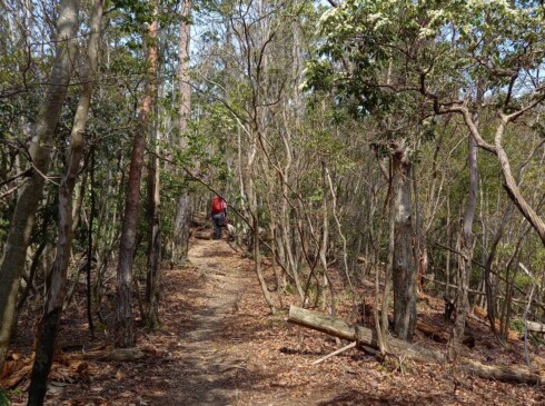 気持ちの良い尾根道