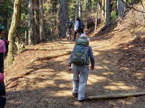 やっと表参道へ合流