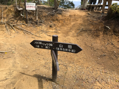 歩きやすくしっかりとした稜線上の道