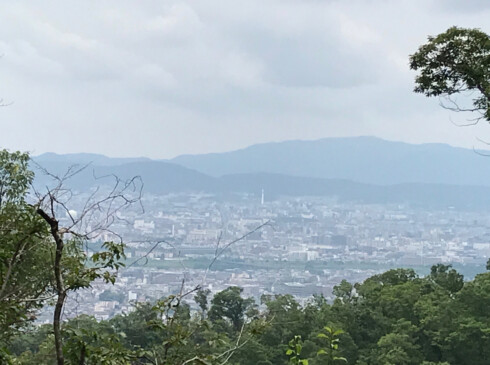 稜線上のビューポイントから京都市中心部を望む