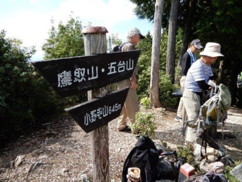 小野寺山5,6年前もっと眺望開けてたのに