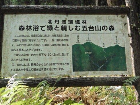 兵庫50山654.6m森林浴ですよ!植林多かったけど