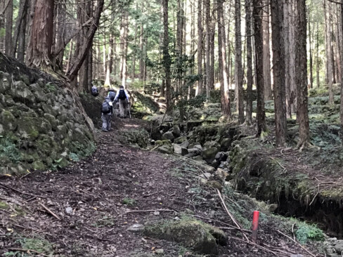 登山口から程近い沢沿いには棚田跡がありました。かっての生活を偲ぶことができ、今は杉が植林されています。