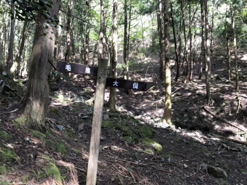 歩き始めておよそ30分。この標識を過ぎて、峠までやや急坂が続きます。