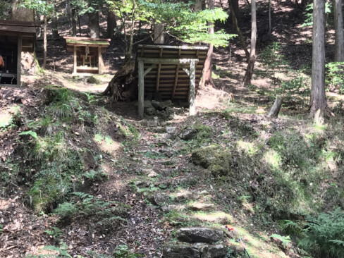 毛原集落に程近い大岩神社。苔むした石段も美しく、付近には杉やアカガシの巨木がそびえています。