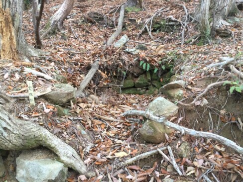 うーーーん、これは??炭焼きのあとかな?