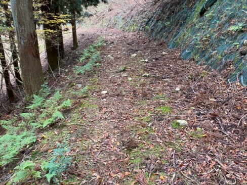 駐車場に向けて下山します。