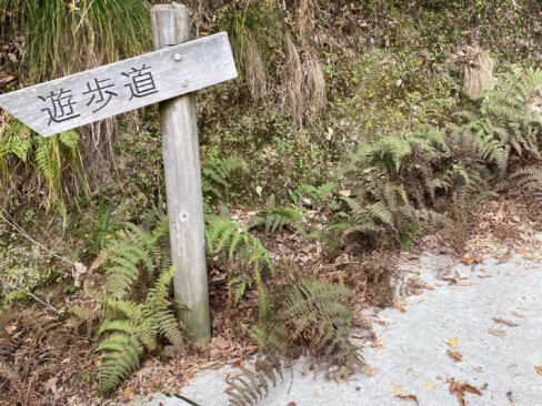 この標識からスタート。整備された遊歩道を歩きます。