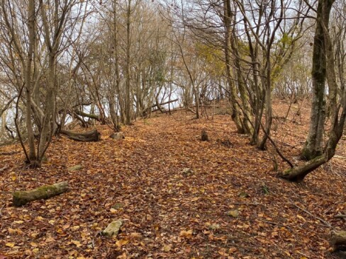 西峰まで気持ちのいい遊歩道が続きます。葉が落ちた木もまたいいものです(>_<)