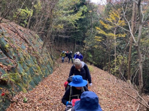 結構葉が落ちています。