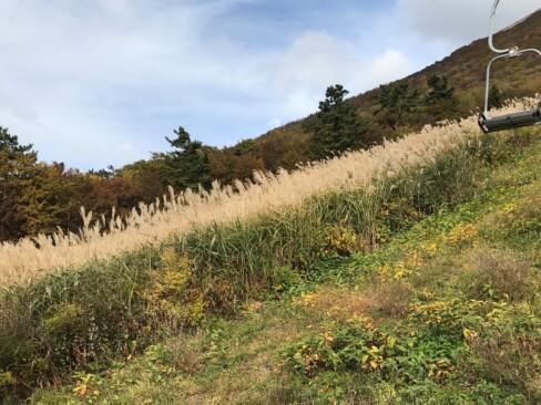 桝水高原、天空リフトとススキヶ原。