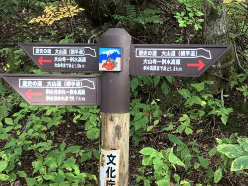 横手道に設置されている道標。かって大山寺への参詣道として使われ、文化庁が選定する「歴史の道100選」に選ばれています。