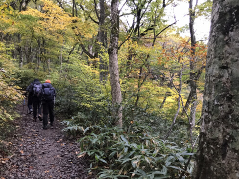 登山口から程近い、樹々の中の道。紅葉が始まり気持ちの良い登山の始まりです。