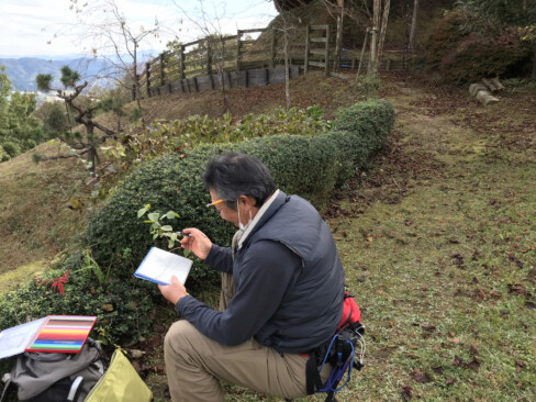 絵を描くなんて何十年ぶりだろう。でも1枚、描けました。2作目挑戦中です。