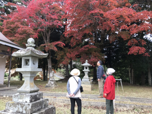 真っ赤に色づいたカエデに思わずうっとり。