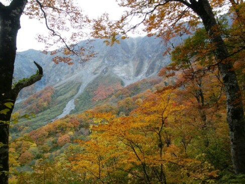 紅葉した樹々と北壁。