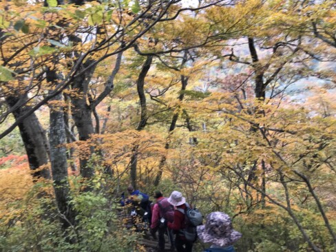 紅葉の回廊を抜けながら下って行きます。