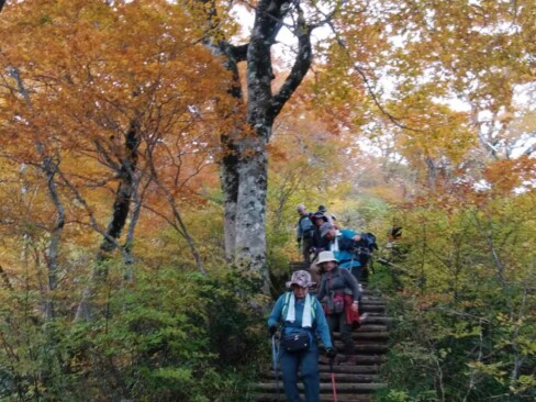 紅葉のトンネルを歩いているようで、疲れも癒されます。