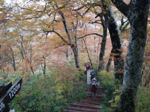 行者谷下山路、紅葉のトンネル。