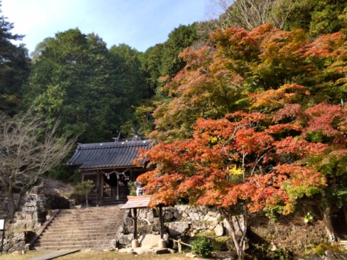表米神社、全国二例のみの指定重要有形民俗文化財「相撲桟敷」がある