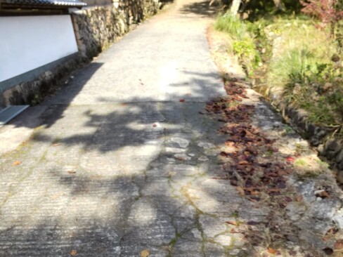 法樹寺横を駅裏登山道へ向かう