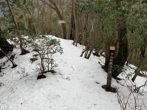 下山は中央コースです。