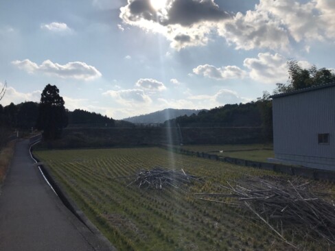 奥のほうにかすんで見えるのが甘南備山。ちょうど光が当っていい感じ。