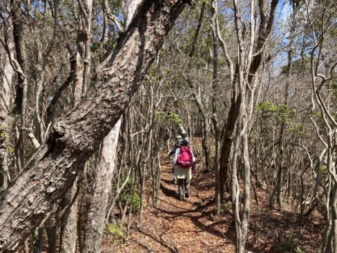 気持のいい尾根歩き。