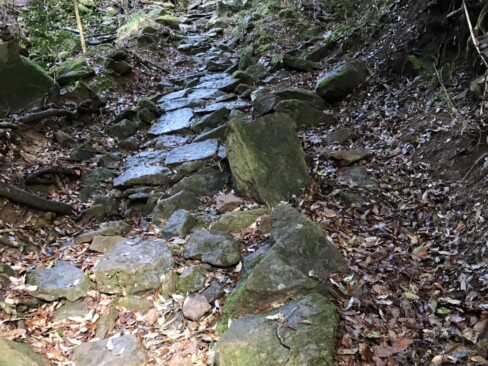 前日の雨でぬれた石畳。趣があります(*^^*)