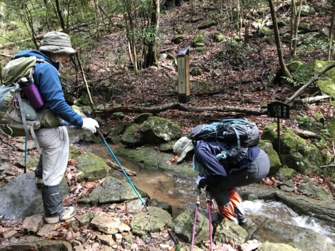 石舟(霊水)で、手を清めてくださいとのこと。
