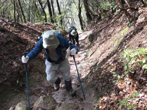 なかなか急ですわ(>_<)