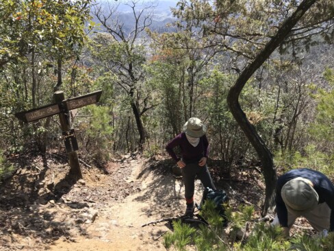 立杭焼の陶の郷との分岐。ここの標識は、陶板。さすが✌
